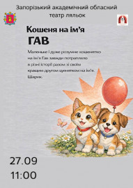 Кошеня на ім'я Гав